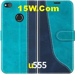Login Seguro u555